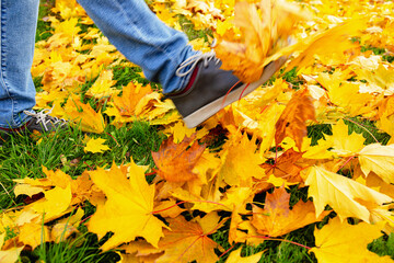 Foot in Motion Kicking pile of Autumn Fallen Leaves
