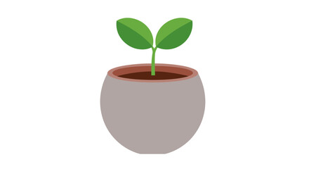 Small Green Plant Growing in a Round Ceramic Pot.
