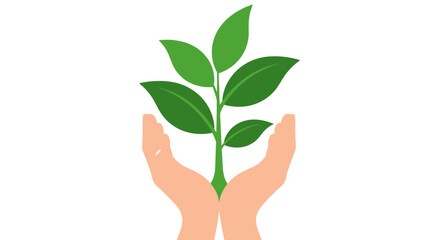 Hands Gently Holding a Small Green Plant Sprout.