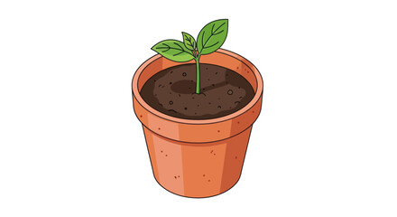 Young Plant Sprout in Terracotta Pot.