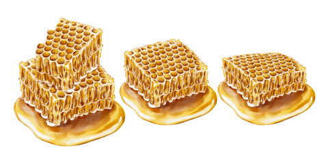 Watercolor illustration two stacked golden honeycombs with thick dripping honey in realistic style with rich texture. Set for food packaging tea labels cosmetics wellness products and Jewish holidays