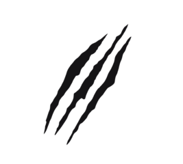 Black claw scratch mark design with four jagged slashes. Wild animal claw tearing effect for tattoos, decals, or graphic art. Symbol of strength, aggression, and primal power.