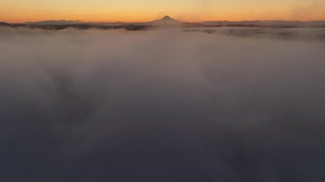 Dawn illuminates fog drifting through the forests found throughout the Willamette Valley in Oregon. The entire Pacific Northwest region is known for its vast forests and moist, temperate weather.