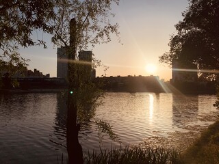 scenic sunset over a calm lake with city buildings in the background. Golden sunlight reflects on the rippling water, framed by trees and branches, creating a peaceful urban nature landscape. Perfect 
