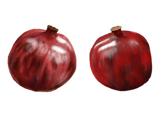 Pomegranate Fruits Illustration PNG