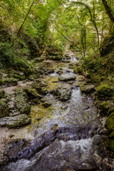 Over millions of years, the Orfento River (in the municipality of Caramanico Terme) has carved out a narrow gorge now covered by dense riparian vegetation featuring willows, ferns, and mosses.