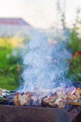 Juicy BBQ Chicken Skewers Grilling Over Charcoal With Smoke