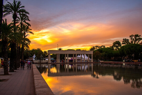 Sunset over pool, Turia Gardens, Valencia, Spain
