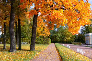 Catherine park in autumn foliage, Tsarskoe Selo (Pushkin), Saint Petersburg, Russia