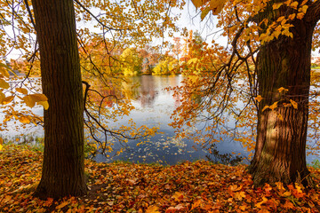 Catherine park in autumn foliage, Tsarskoe Selo (Pushkin), Saint Petersburg, Russia