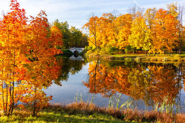 Autumn foliage in Alexander park, Tsarskoe Selo (Pushkin), St. Petersburg, Russia