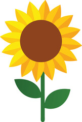 sunflower vector illustration on transparent background