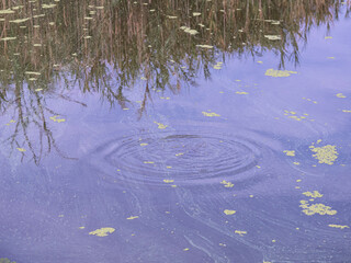 Wonderful village in Tuscany. View of the Puccini lake, tower Puccini, Tuscany, Italy