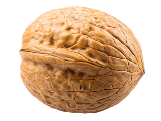 Obraz premium Whole walnut with textured shell isolated on white background