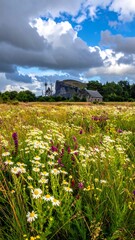 Colorful wildflower field with a rustic building