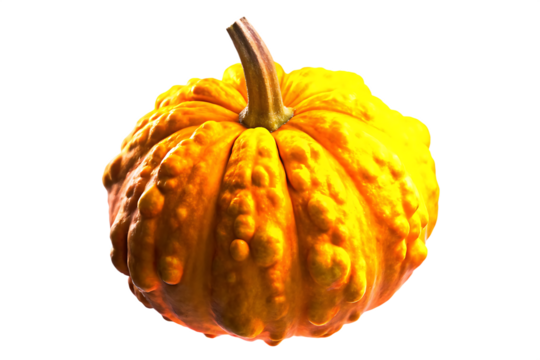 A bumpy textured orange and yellow gourd isolated on white background