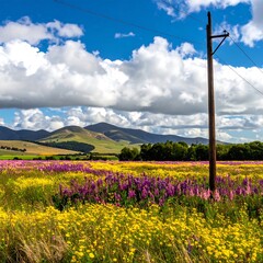 Colorful wildflowers field with mountains