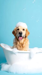 Golden retriever in a bath