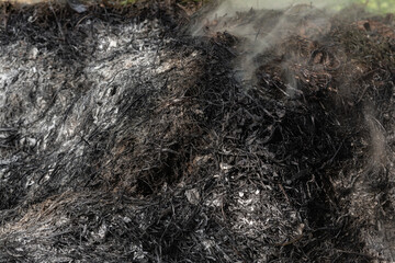 Close-up of smoldering ash and charred plant debris with visible smoke rising, depicting the aftermath of a recent fire in a natural outdoor setting.