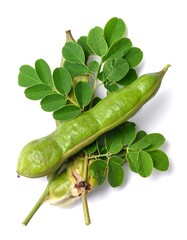 Green Moringa pods and leaves