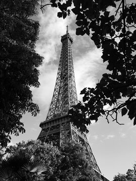 Eiffel Tower framed by trees