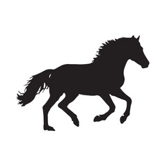 Vector silhouette of a horse on white background 