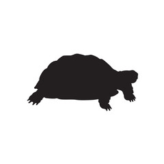 turtle silhouette vector  on a white background