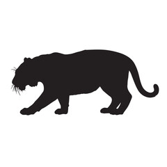 Tiger silhouette vector on white background 