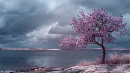 Pink tree by lake under stormy sky