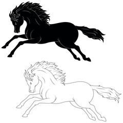 Wild Horse Riding