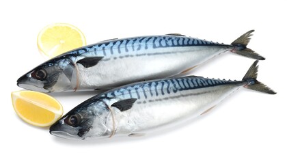 Fototapeta premium Two mackerel fish with lemon slices