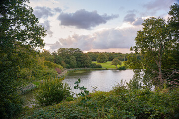 Peaceful view of small lake Waterpartij in The Hague, Netherlands, through green trees with calm water and open sky
