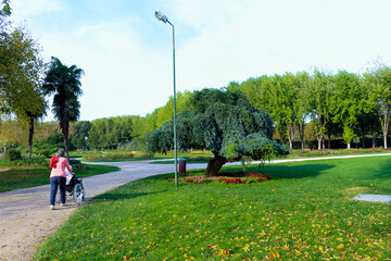 girl on a bicycle
wheelchair tour in the botanical park