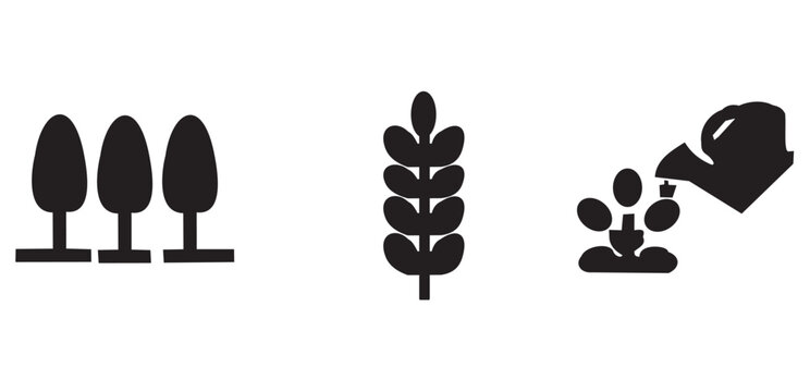 planting kan with palant tree...