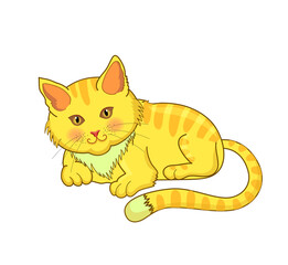 Colored Cartoon Cat Icon Design