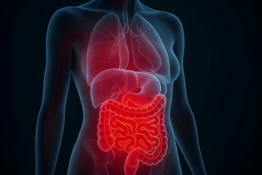 Abdominal Pain and Digestive Tract Inflammation, Bronchitis-Like Medical Concept