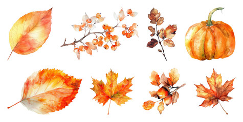 Fototapeta premium PNG Autumn watercolor leaves and pumpkin, element set on transparent background