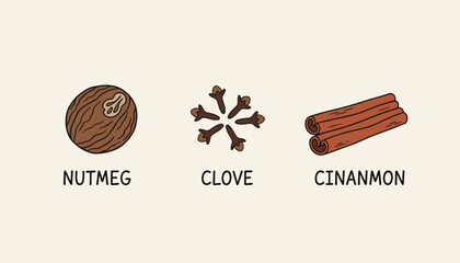 Illustrated nutmeg clove and cinnamon spices for cooking baking and culinary concepts