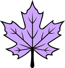 Single Purple Maple Leaf Illustration with Black Outline on White Background autumn fall