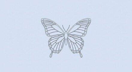 Obraz premium Butterfly