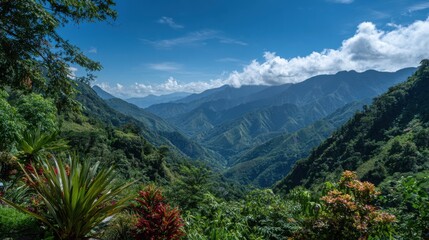 Fototapeta premium Lush tropical mountains stretch across the horizon under a clear blue sky with fluffy clouds. Vibrant plants flourish in the foreground, showcasing natures beauty in a serene setting.