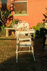 Creepy doll in high chair halloween decorations in a front yard