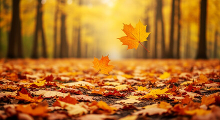 Golden and orange maple leaves falling in autumn forest, creating a peaceful and serene autumnal scene, ideal for nature, fall, or seasonal designs