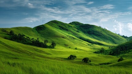 Obraz premium Rolling hills covered in vibrant green grass stretch across the landscape, creating a peaceful atmosphere under a bright blue sky with fluffy clouds.
