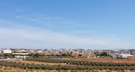 Lagunas de Campillos, Malaga, Andalusia, Spain. 4 September 2025. View of dry lagoon and distant...