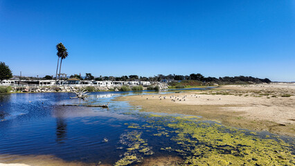  Pismo Beach, California.  Looking at the Pismo Beach Dunes and Pismo Creek with the coastal wetlands