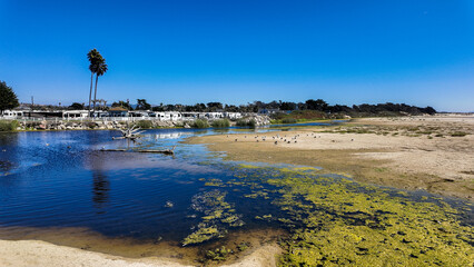  Pismo Beach, California.  Looking at the Pismo Beach Dunes and Pismo Creek with the coastal wetlands