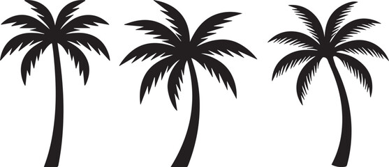 Palm tree silhouette © MoharomIslam