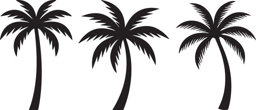 Palm tree silhouette