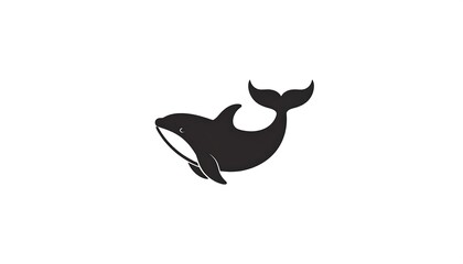 Simple black and white orca illustration